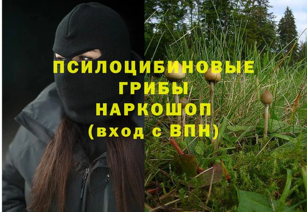кокаин Белокуриха