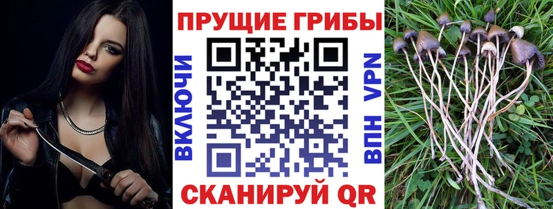 мориарти формула Ярцево Галлюциногенные грибы мицелий купить наркоту